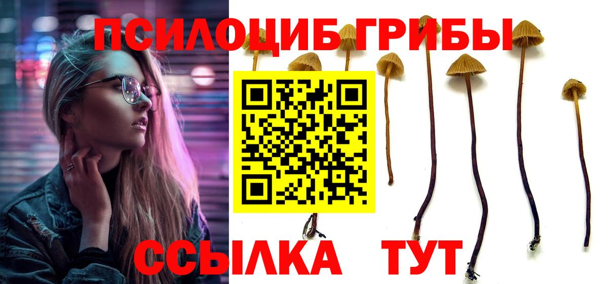 Тверь  Псилоцибиновые грибы Cubensis  Вход с VPN  сколько стоит  Псилоцибиновые грибы ЛСД 