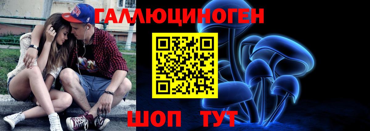 Псилоцибиновые грибы GOLDEN TEACHER Тверь